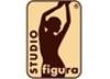 Studio figura (Студия фигура)