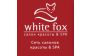 White fox (Княжье Озеро)