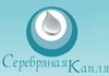 Серебряная капля