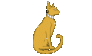 Golden-Cat