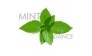 A mint dance (Э минт Дэнс)