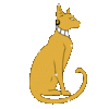 Golden-Cat