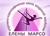 Спортивно-хореографическая школа воздушной акробатики Елены Марсо