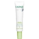 Кодали пульп витамине/caudalie pulpe vitaminee