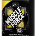 Масл форс "muscle force"